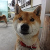 の写真
