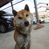 の写真
