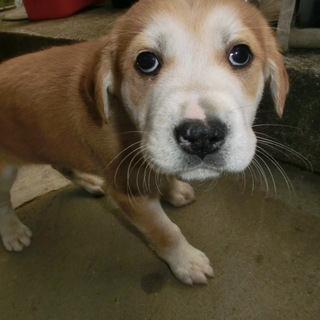 家族にアイーン2