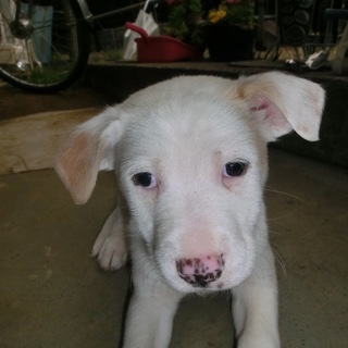 家族のアイーン3