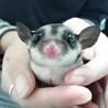 凛