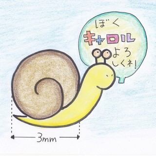 ちびっこでんでん『キャロル』　里親さん大募集！