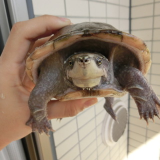 たくさんのご応募ありがとうございました。