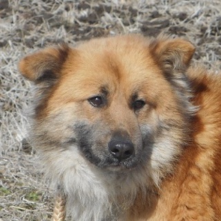 家族できたよ♡