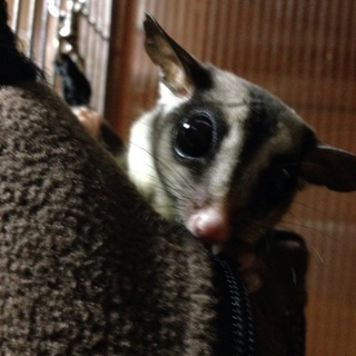 安心出来る方に出会えて良かったです。