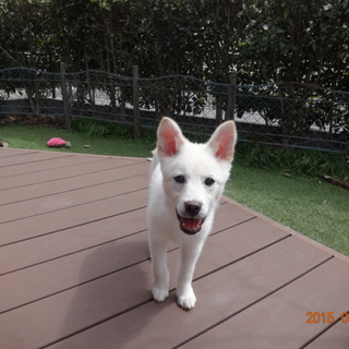 怖がりだけどヤンチャな男の子