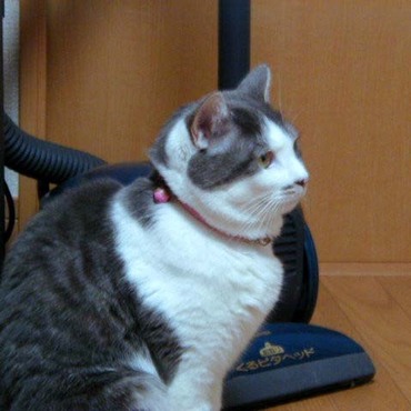 プテイアン（♀）Apr.29,2001