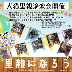 4月5日恵比寿ガーデンプレイスにて譲渡会！！