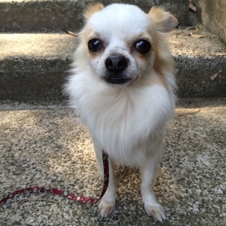 おりこうさん男子‼︎