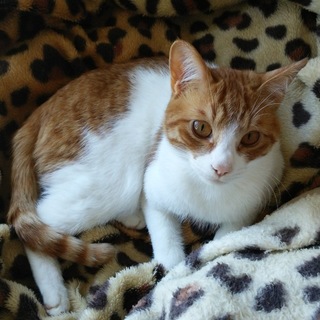 9ヶ月のオスです