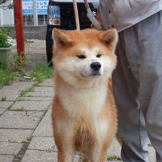 本当に可愛いがってくださる方よろしくお願いします