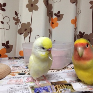 皆様ありがとうございました！！