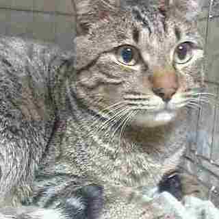 もじもじとしたシャイな個性を見守ってください♪