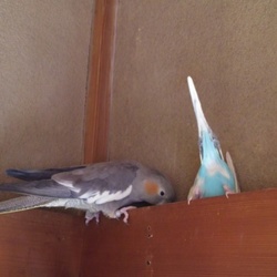 「何してんの？？」サムネイル2