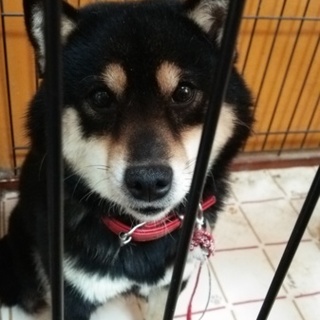 交渉中につき募集休止します