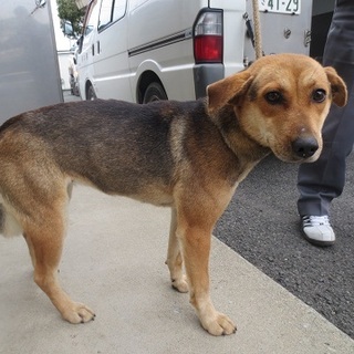 譲渡されたそうです！！