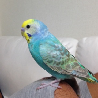 沢山のご応募本当にありがとうございました！