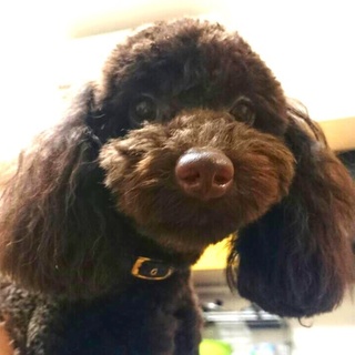 諸事情によりいったん終了いたします。