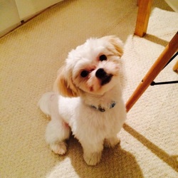 トレーニング終了