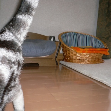 のそり のそり、、、、