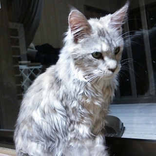 超ーおっとり系ﾐｽﾞｷ☆