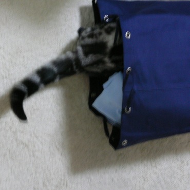 洗濯物じゃないよ