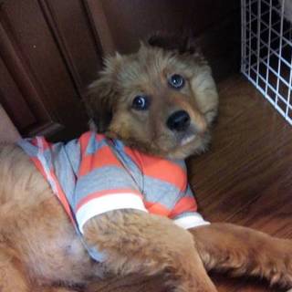 ３～４ヵ月・少し大きめの男の子