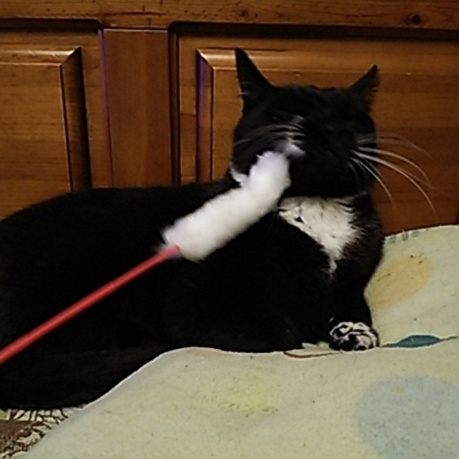 おくびのカバー写真