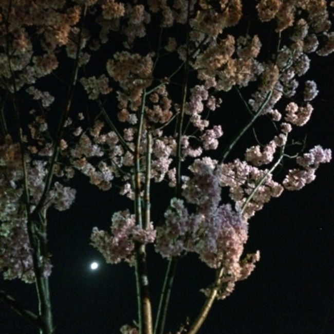 myu1637のカバー写真