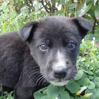 譲渡されたそうです！！