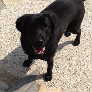 たくさんのご応募をいただきありがとうございました。