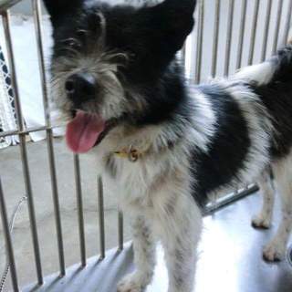 この子の命を救ってください。