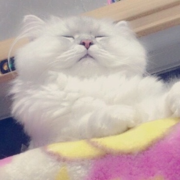 うとうと ぶちゃいく！