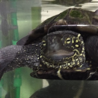 ご応募ありがとうございました！感謝いたします。