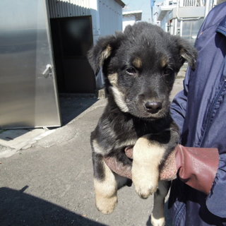 譲渡されたそうです！！