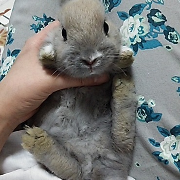 足汚くなってきたね、今日洗おっか。灰色が強くなってきたかな？