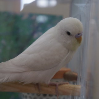 ☆たくさんのご応募ありがとうございました☆