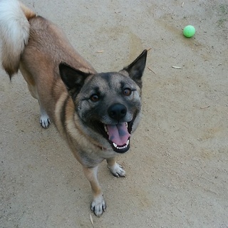 超甘えん坊♪太一君家族募集中！