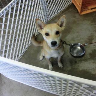 この子の命を救ってください。