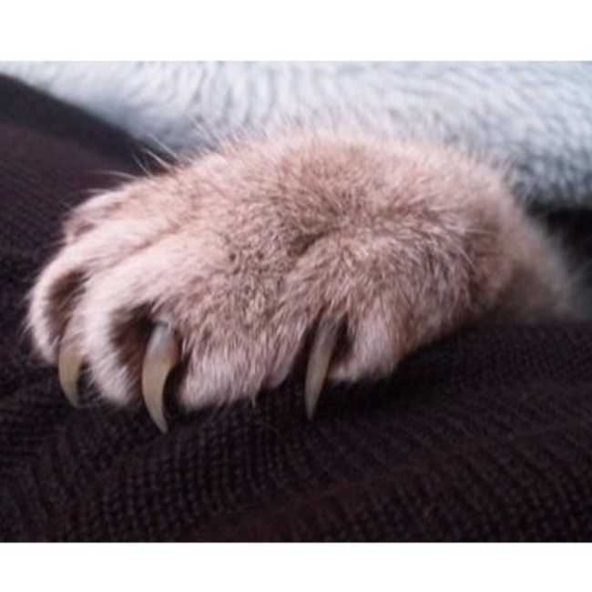 non0420のカバー写真