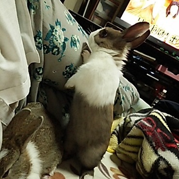 好奇心旺盛なやんちゃもの！