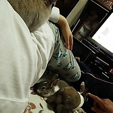 脇の上気に入っちゃったんだんな～