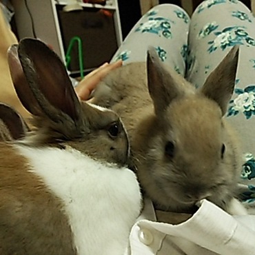 兄弟でもこんなに耳も大きさが違うのよ！