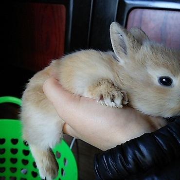 足こぼれとるでw