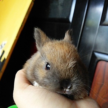 他の子より軽めだね