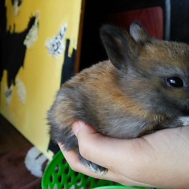 色濃いねー大人になったらどんな子になるのかしら？