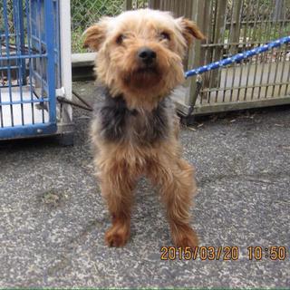 里親様決まりました。後日、譲渡予定です。