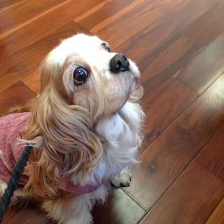 たれ目が可愛いおっとり癒し系のお姉さん