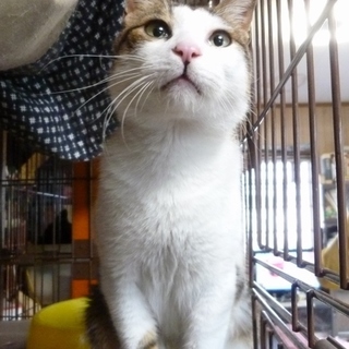 ダビデは男の子らしい元気で活発な子です