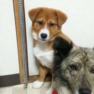 決まりました！